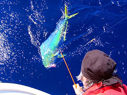 2003-12-07  144847  um