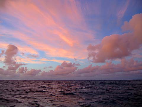 2003-12-08  191037  um