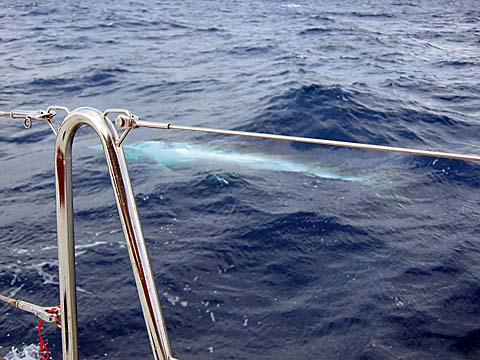 2003-12-15  173417  mn